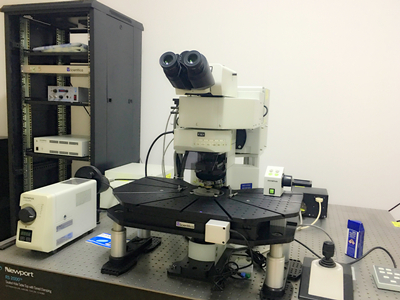 双光子激光共聚焦显微镜